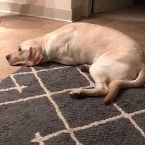 Meet your Posher, William